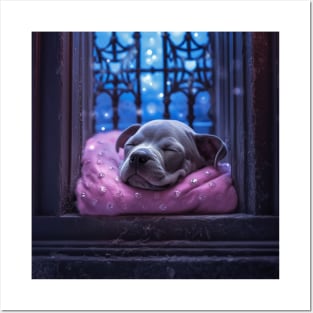 Sleeping beauty Staffy puppy Posters and Art